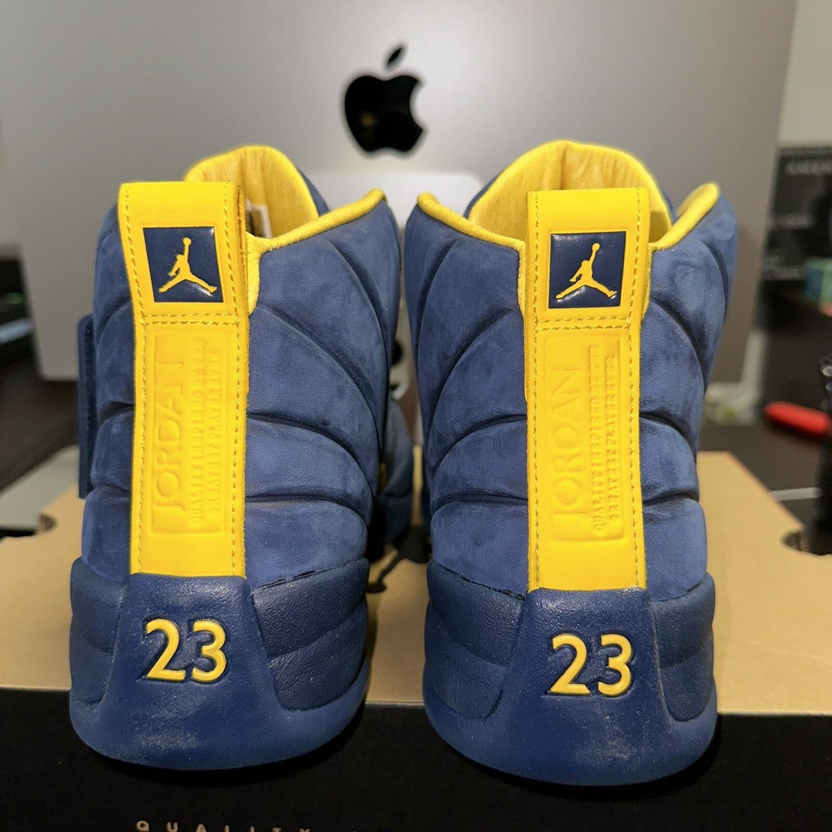 michigan 12s stockx