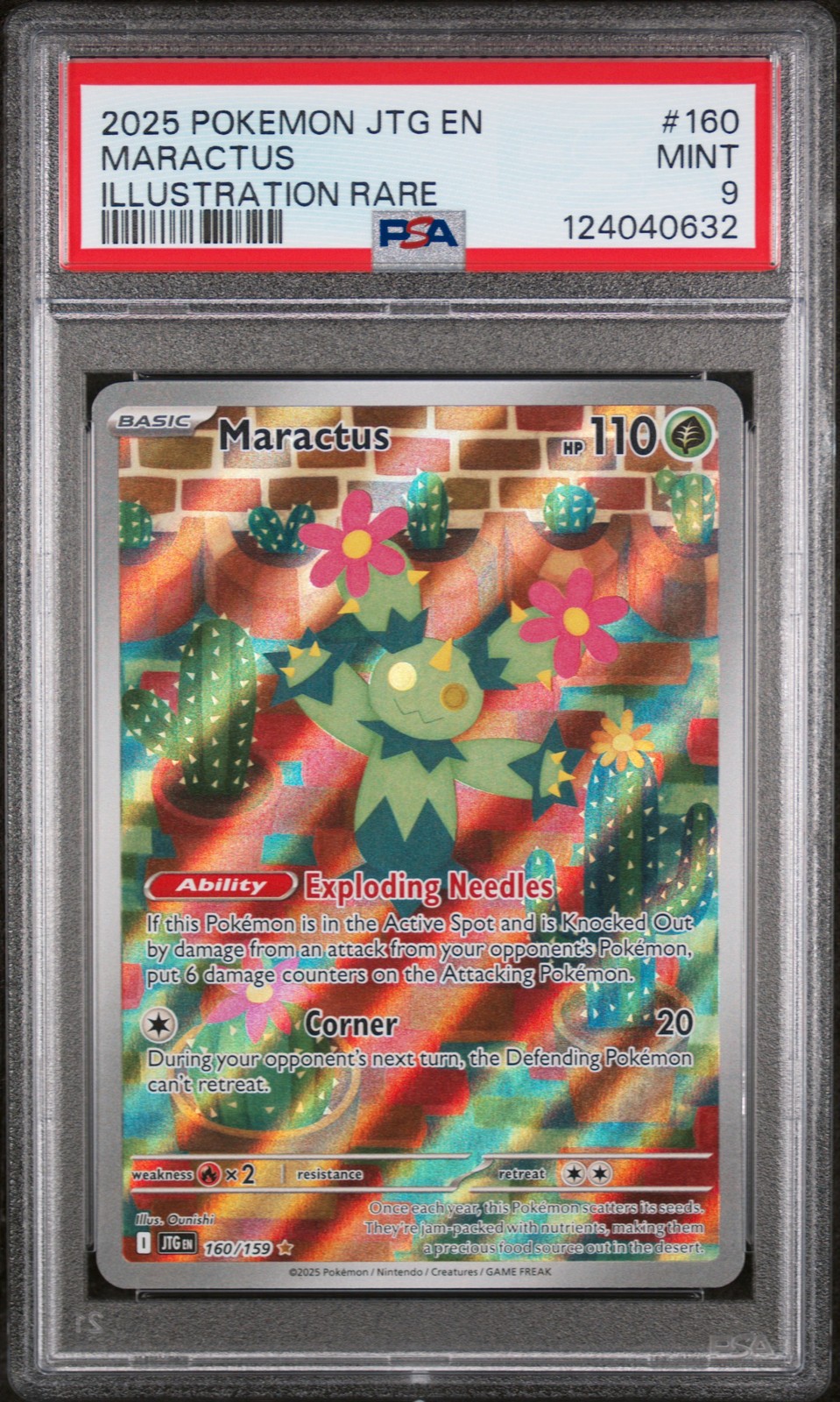Maractus #160
