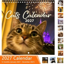 Celebration Cats 2027 Wall Calendar Cute Feline Photos 12x12 Inches