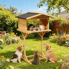Outdoor Cat Feeding Station, Elevated Feral Cat House