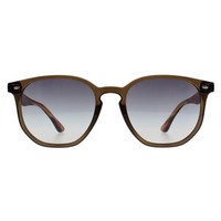 Ted Baker TB1655 Dock 949 Khaki Braun Gestreift Braun Grau Sonnenbrille
