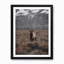 Elk In Bog Art Print Framed Wall Art Poster Canvas Print Picture