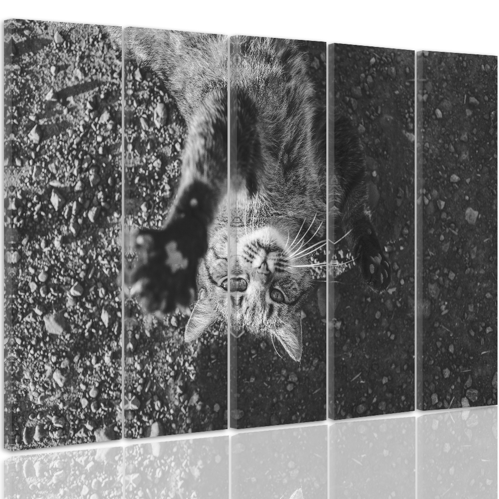 TOP LEINWAND BILD BILDER (54 Varianten) Varianten) Varianten) MODERN HD ART grigio nero Katze 1327 91c032 TOP LEINWAND BILD BILDER (54 Varianten) Varianten) Varianten) MODERN HD ART grigio nero Katze 1327 91c032