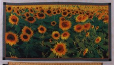 23.5" X 44" Panel Field of Sunflowers Floral Harvest Cotton Fabric Panel D763.55