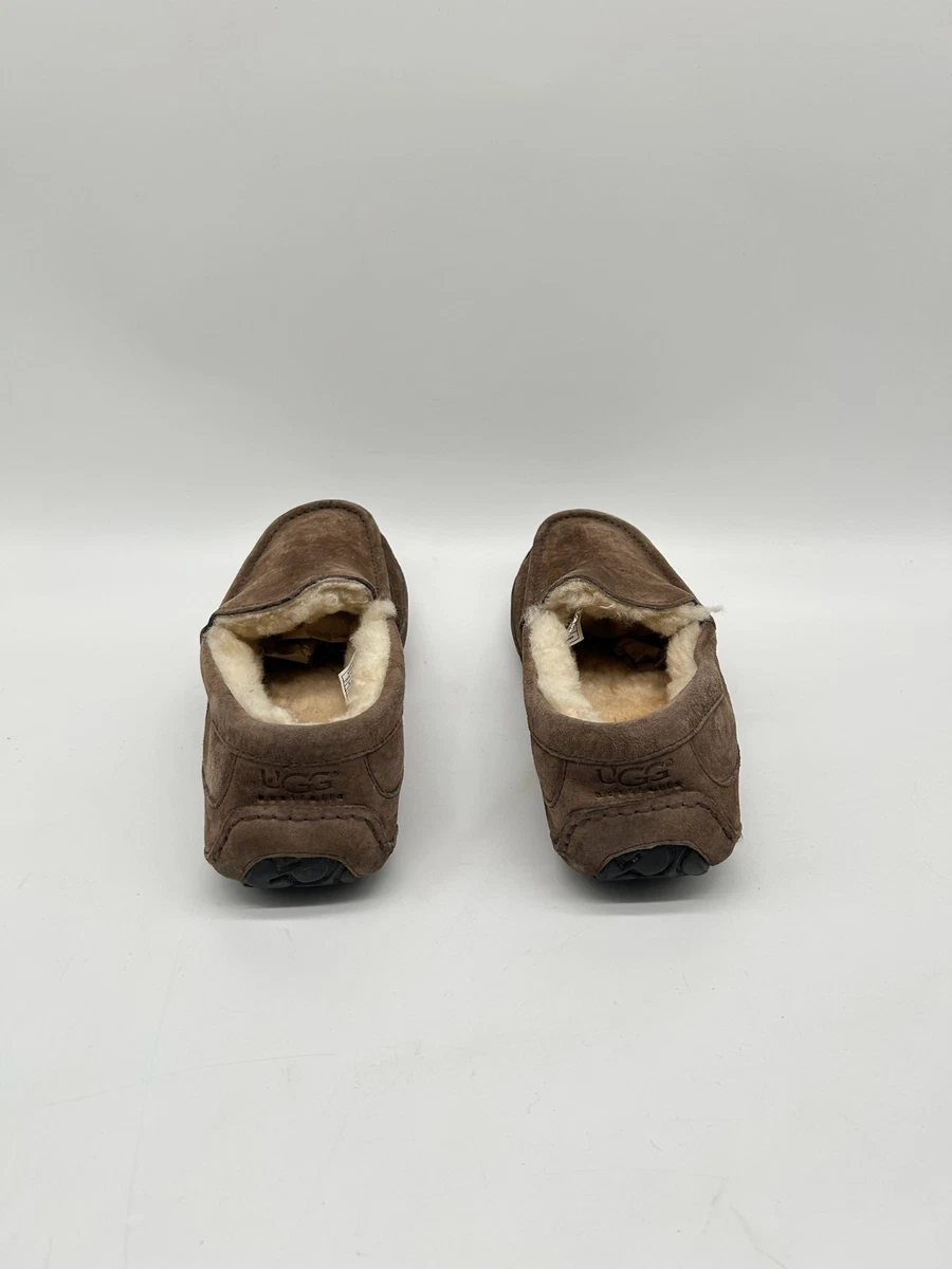 UGG Ascot Herren Hausschuhe Braun EUR 40,5