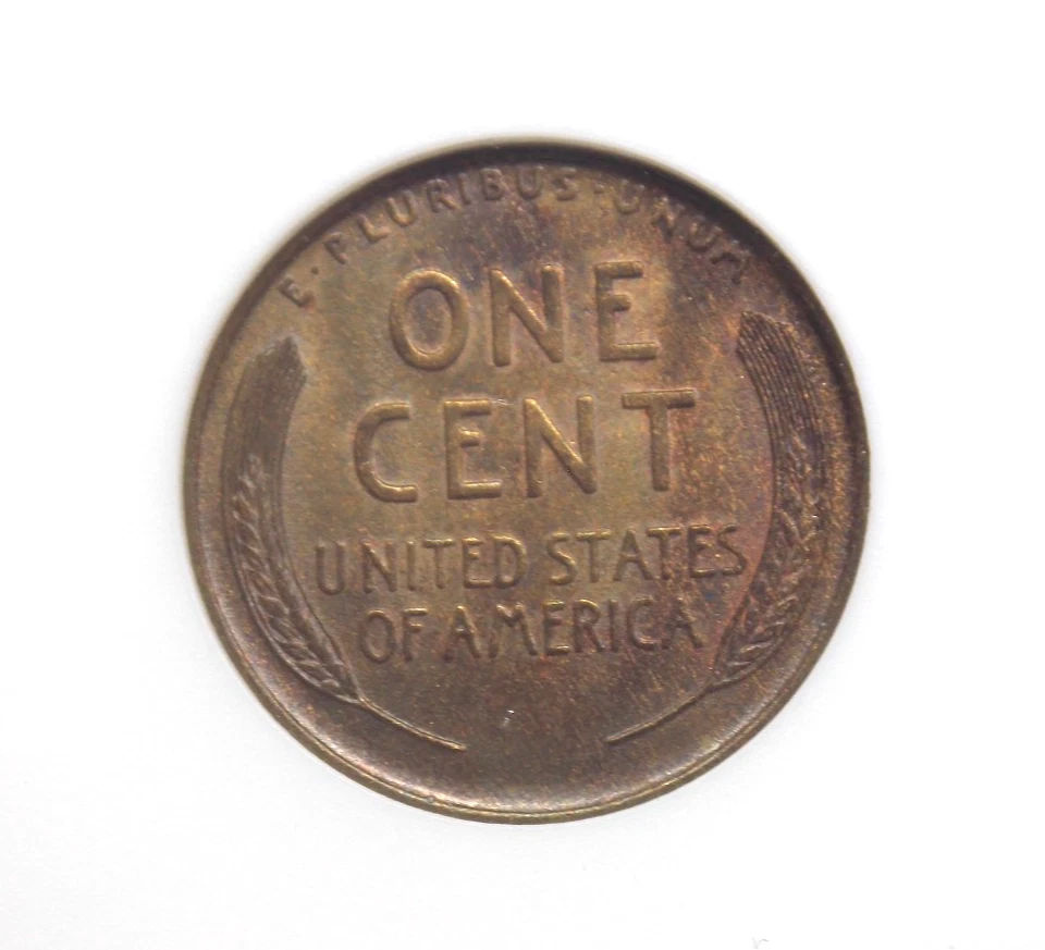 1909 "P" Lincoln WHEAT Cent Penny 1c ANACS MS65 RB #896 Red Brown Soapbox ECC&C - Image 2 of 4