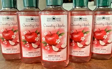 5 (FIVE) COUNTRY APPLE Aloe & ProVita B 10oz SHOWER GEL Wash Bath and Body Works