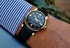 MEN'S OMEGA SEAMASTER DATE AUTO 503 SUPERB BLACK DIAL 14K GOLD CAP c1956 VINTAGE