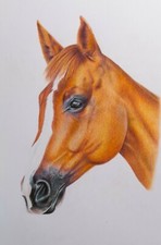 Original Horse Fathers Day gift Drawing Painting A3 Wildlife Equine Art Animal .