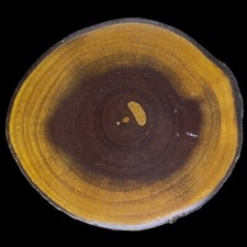 Exotic Wood Tree Artwork Boho Nature Hippie Gift 1970s NOS Vintage Belt Buckle