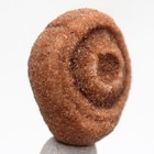SANDSTONE CONCRETION Mineral Specimen Naturally Sculpted SAHARA DESERT Morocco — photo 2