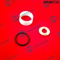 Dr.Motor Automotive DRM0129 Dichtungssatz, EinspritzdüSe