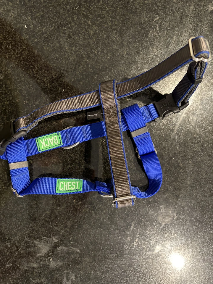 Arnés para perros pequeños APDEXY Freedom No Pull, fácil andador, anti tirones ingenio Foto 3 de 4