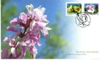Canada - FDC - 2624-2625  - Mgnolias - 2013
