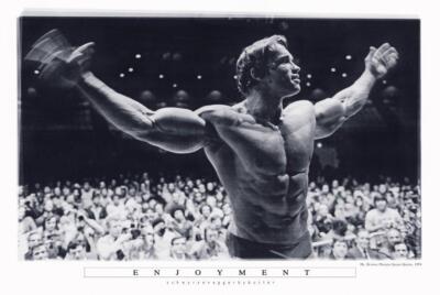 Arnold Schwarzenegger Poster Enjoyment 91,5 x 61 cm