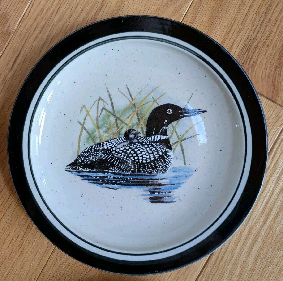 Folkcraft Stoneware Scotty Z Loon Lake Salad Plate 8 5/8" set of 4