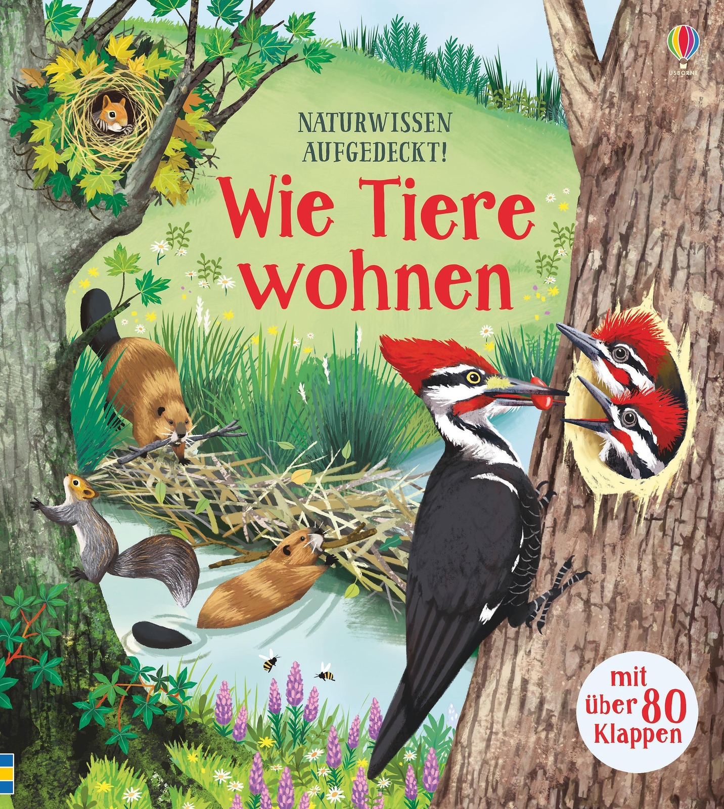 Thumbnail - Emily Bone | Naturwissen Aufgedeckt Wie Tiere Wohnen | Buch | Deutsch