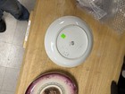 2 Mitterteich Bavaria Vintage 10 1/2" Porcelain Plates — photo 5