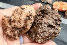 Calandria Agate. 6 Whole Nodules. — photo 5