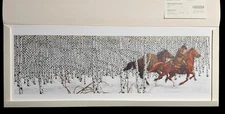 Bev Doolittle Sacred Ground (MINT New in Folder) Limited Edition 22393/69996