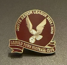 Arnold Town FC Non-League football pin badge