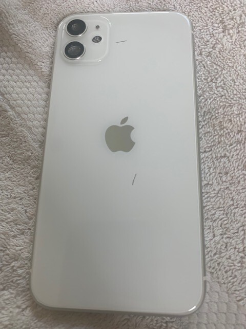 Picture 1