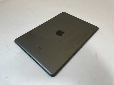 Apple iPad (7th Gen) A2197 10.2