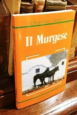 Buonavolontà Silvestrelli Il Murgese Le razze italiane equitazione cavallo