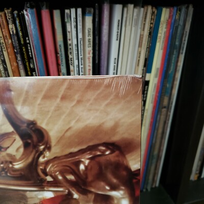 Lady Lady by Masego (Record, 2019) for sale online | eBay