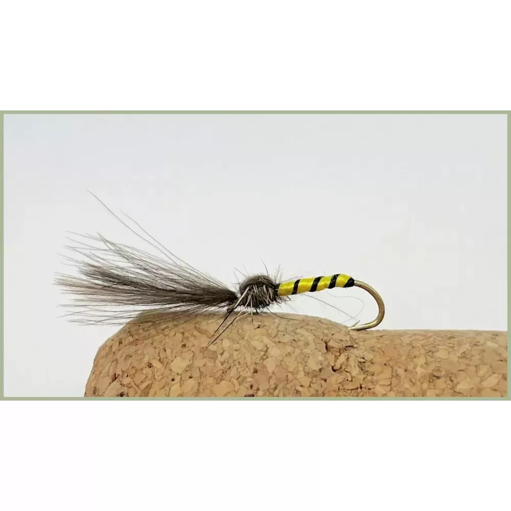 Shuttlecock fly 2024