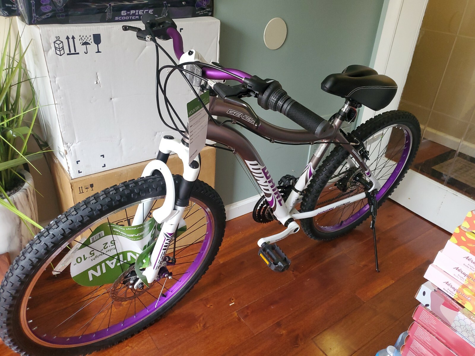 21 Speed Mountain Bike 26 Inch 