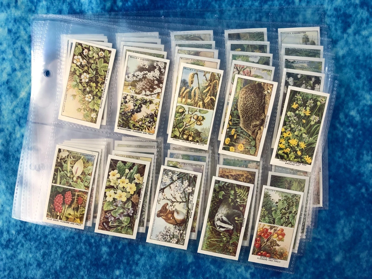 Cigarette Card Full Set for sale