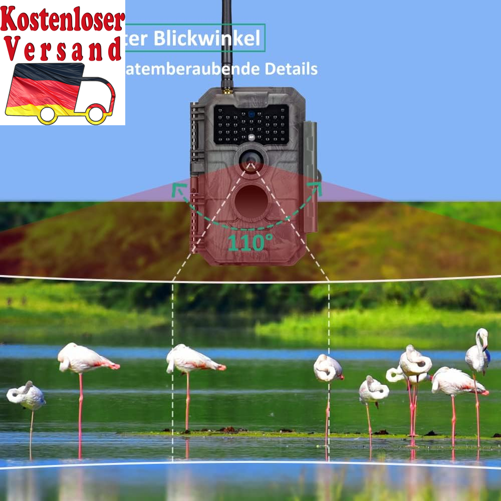 Bild 5 von 12