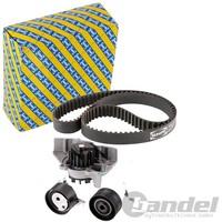 SNR Zahnriemensatz + Wasserpumpe Passend FüR CitroËN Xantia Xsara Peugeot 306