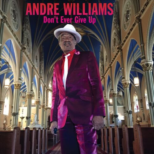 ANDRE WILLIAMS DON'T EVER GIVE UP NEW LP - Picture 1 of 1