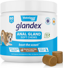Glandex Anal Gland Soft Chew Treats with Pumpkin for Dogs Digestive Enzymes, Pro