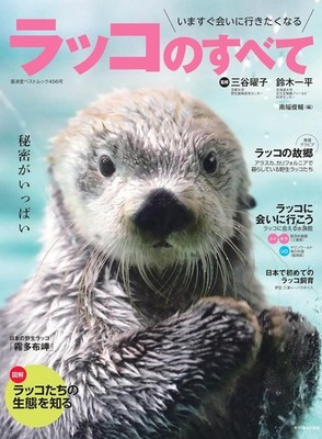 Everything About Sea Otters (Kōsaidō Best Mook) Japan Book NEW F/S