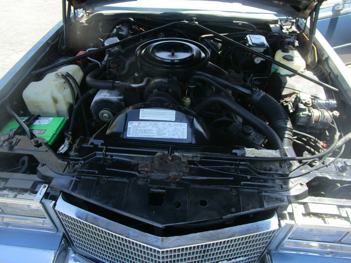 Click photo thumbnail to view