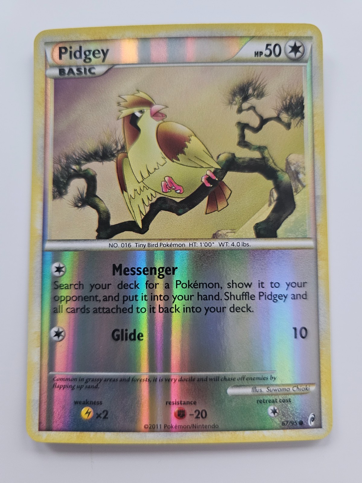 Pokemon Pidgey Reverse Holo Call of Legends 67/95 NM