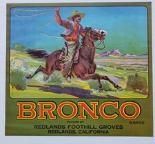 BRONCO~ORIGINAL 1920S REDLANDS ORANGE FRUIT CRATE LABEL~COWBOY RIDING HORSE