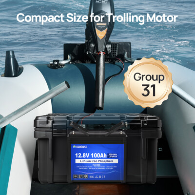 DC HOUSE 12V 100Ah LiFePO₄ Battery | Bluetooth, Low Temp Protection