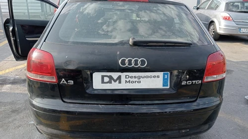 03G906016FF Centralita Motor Uce para AUDI A3 (8P1) 2.0 TDI Ambiente (DP 6970536 - Imagen 9 de 10