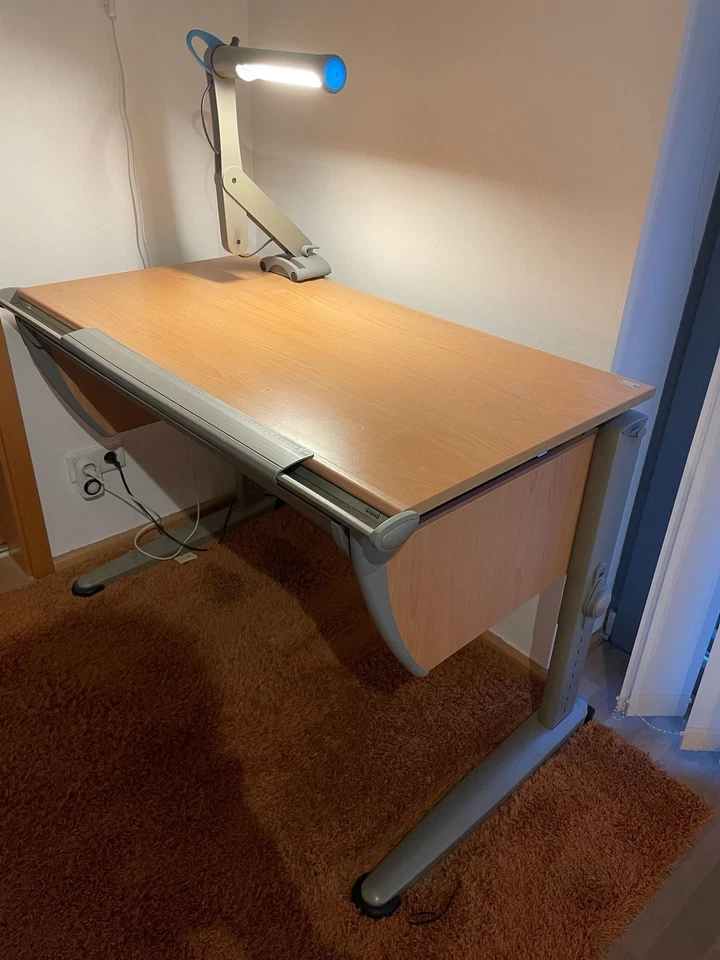 Schreibtisch Von Moll