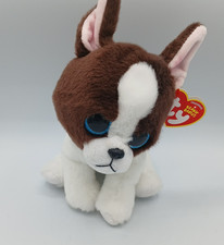 Ty Beanie Babies Portia the Boston Terrier Dog Plush 7" 2021 Blue Eyes Tag