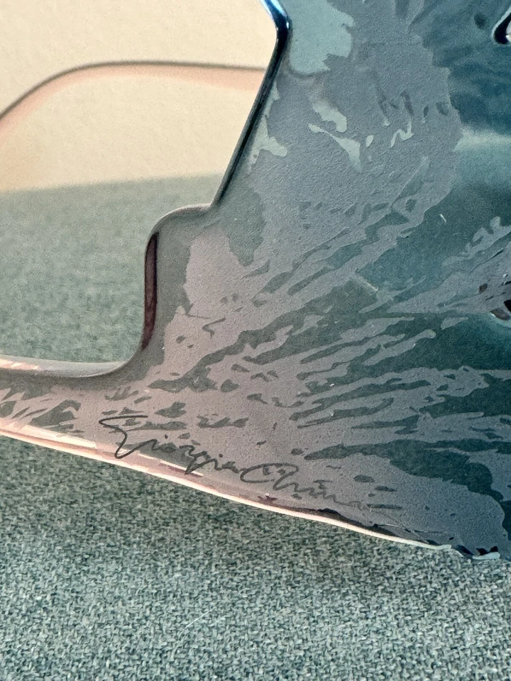 GIORGIO ARMANI 8137 太阳镜 彩色 5855K7 全新带盒 — 第 4/4 张图片