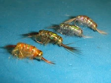 FLY FISHING FLIES - Asst. BH FLASHBACK SCUDs size #18 (8 pcs.)