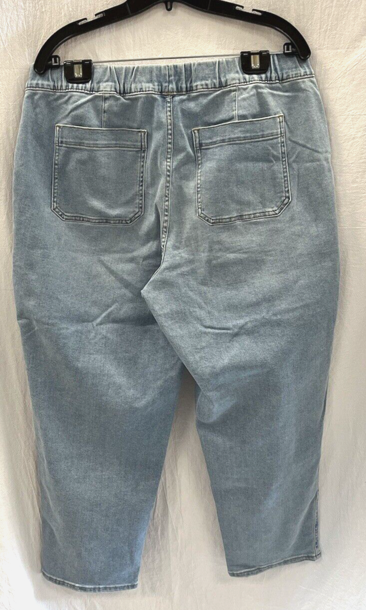 Madewell Women's Pull-On Relaxed Jeans in Bellview Wash Size Large