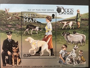 Isle Of Man Scott # 722 Border Collie MNH