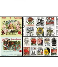 Sewing Seeds III Panel Bundle, 3pcs/bundle Digitally Printed Riley Blake 24 x 43