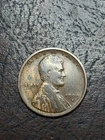 1909s Lincoln Wheat Cent KEY DATE Woody